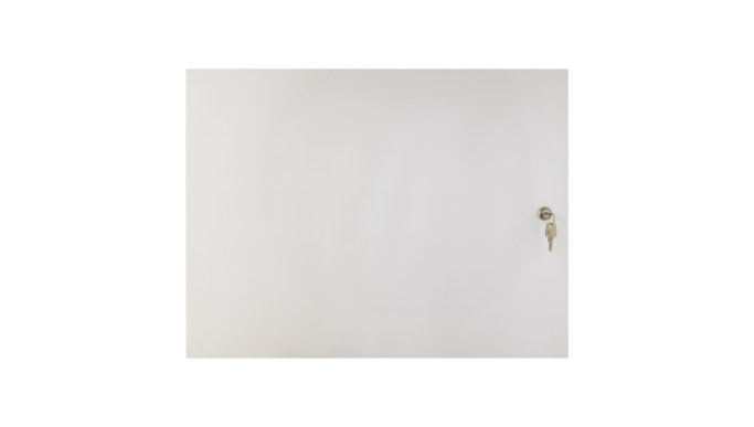 Cabinet universal pentru montaj echipamente, dimensiuni 645x485x185 mm AWO656-2
